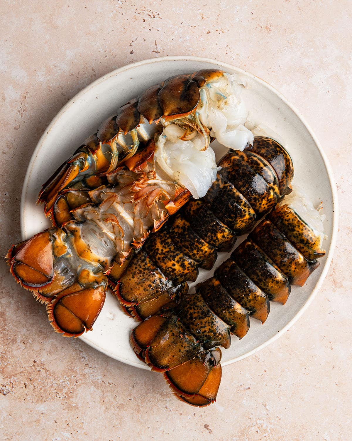 fresh lobster
